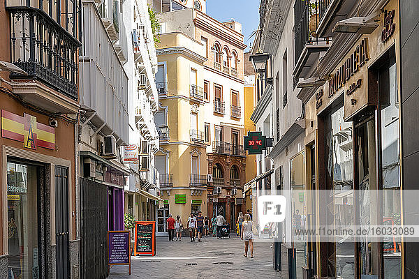 A pedestrianised shopping street in Seville  Andalusia  Spain  Spain
