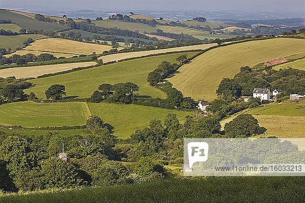 Landwirtschaftliche Landschaft in Mid-Devon im Frühsommer  vom prähistorischen Schloss Cadbury aus gesehen  in der Nähe von Tiverton  Devon  England  Vereinigtes Königreich  Europa