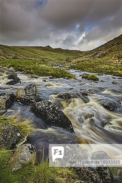 Ein Moorfluss rauscht durch ein Tal  auf dem Weg vom Moor zum Meer  der River Tavy  im Dartmoor-Nationalpark  Devon  England  Vereinigtes Königreich  Europa