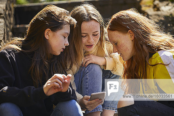 Three teenage girls sitting outdoors  checking their mobile phones.