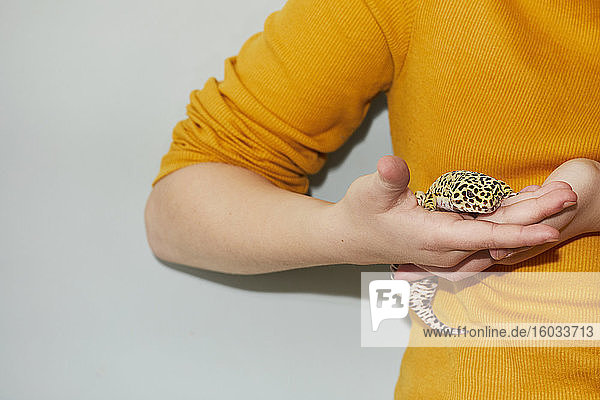 Close up of teenage girl holding spotted pet leopard gecko.