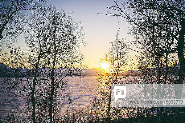 Blick an Bäumen vorbei über den zugefrorenen See bei Sonnenuntergang  Vasterbottens Lan  Schweden.