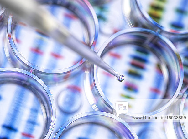Wissenschaftler pipettiert eine Probe für genetische Tests mit dem Hintergrund einer DNA-Sequenz
