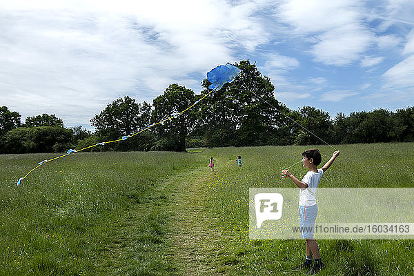 Young boy standing on a meadow  flying blue kite.
