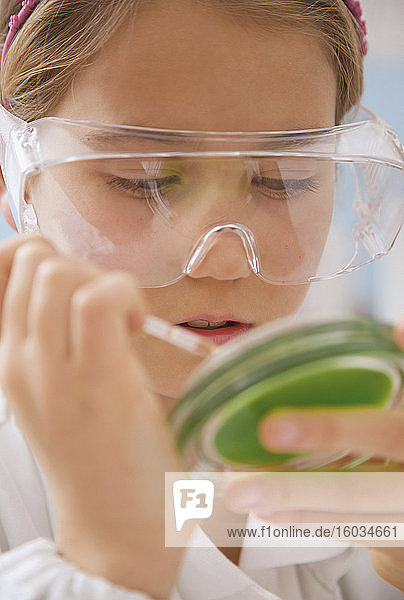Nahaufnahme eines Mädchens der Junior High School in einer Wissenschaftsbrille mit Petrischale