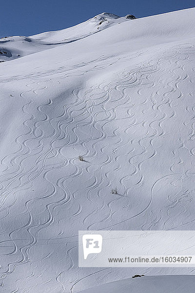 Abfahrtspisten am sonnigen  verschneiten Berghang  Davos  Schweiz