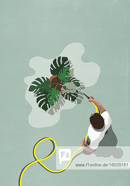 Mann mit Schlauch bewässert tropische Pflanze