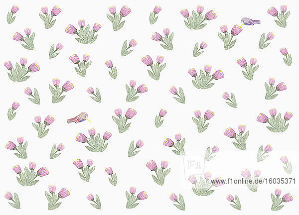 Kolibris und violettes Blumenmuster auf weißem Hintergrund