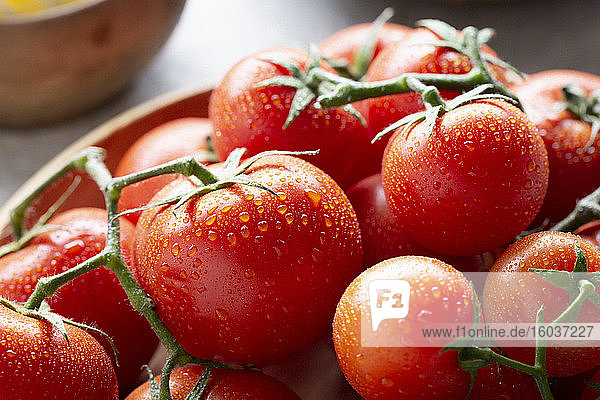Frische Tomaten mit Wassertropfen (Nahaufnahme)