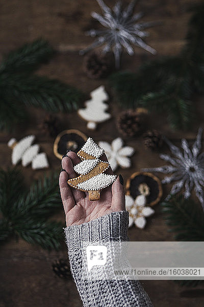 Gingerbread christams tree cookie with icing