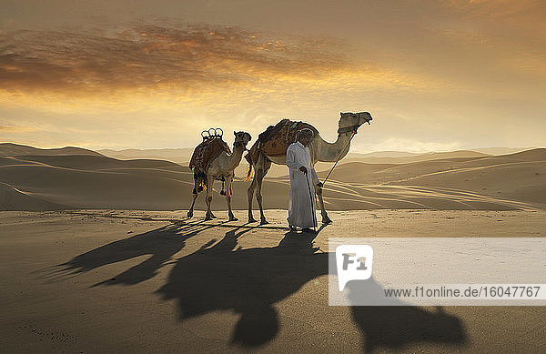 Vereinigte Arabische Emirate  Dubai  Mann führt Kamele in der Wüste
