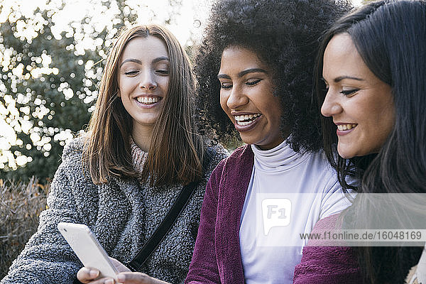 Fröhliche junge Frau zeigt ihren Freundinnen ihr Smartphone  während sie im Park sitzt