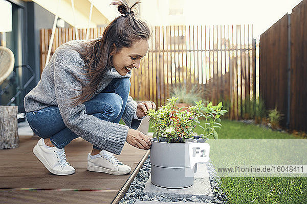 Lächelnde junge Frau betrachtet eine Topfpflanze im Garten