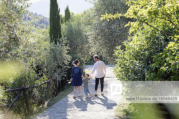 Familie spaziert auf dem Fußweg inmitten grüner Pflanzen im Olivenhain an einem sonnigen Tag