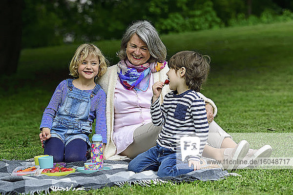Happy grandmother enjoying picnic with grandchildren at park