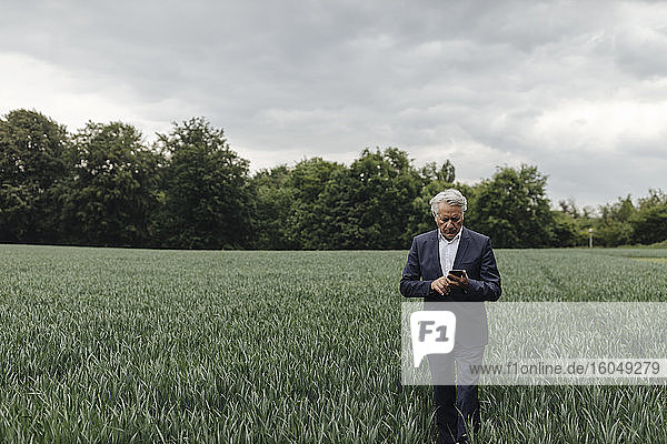 Senior businessman using smartphone on a field in the countryside