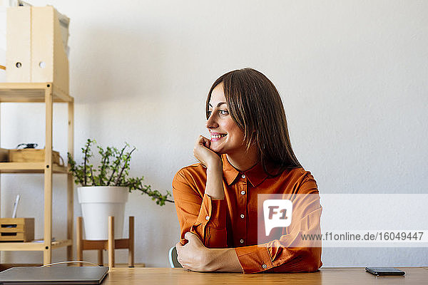 Lächelnde Freiberuflerin  die zu Hause am Schreibtisch sitzt und eine Pause macht