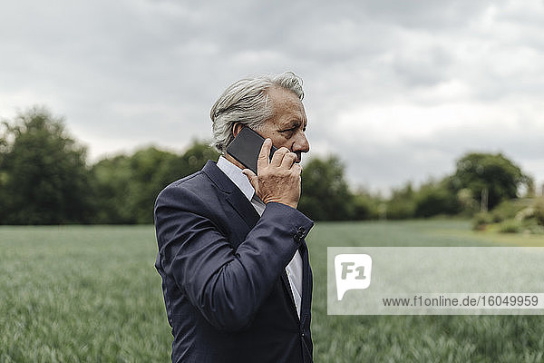 Älterer Geschäftsmann am Telefon auf einem Feld auf dem Lande