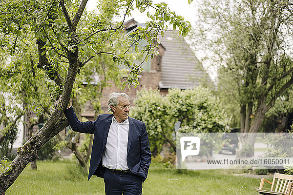 Senior businessman standing at a tree in a rural garden