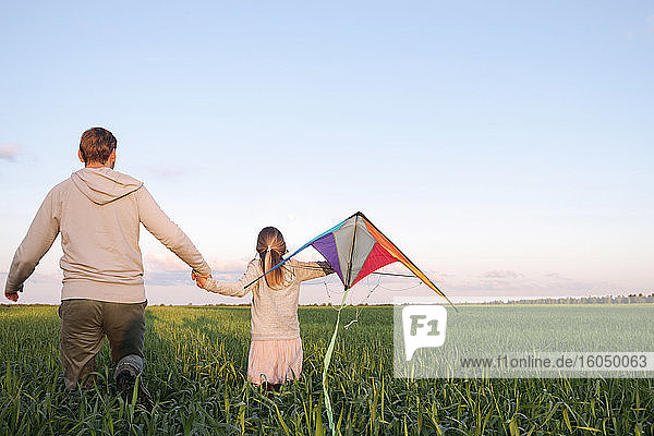 Mädchen mit Drachen  das mit seinem Vater inmitten von Pflanzen in einer grünen Landschaft spazieren geht