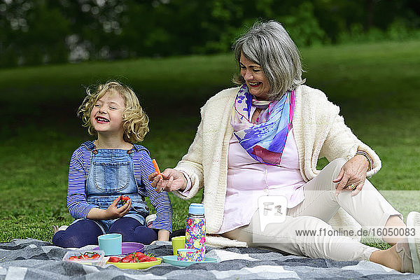 Cheerful grandmother and granddaughter having picnic at park