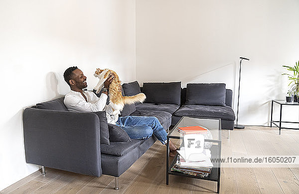 Mann sitzt auf der Couch in einer modernen Wohnung und spielt mit seiner Katze