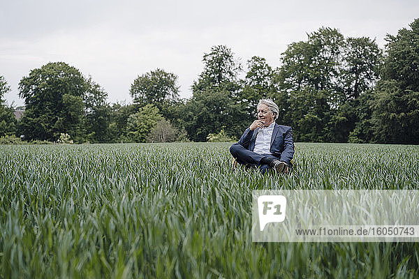 Älterer Geschäftsmann sitzt auf einem Stuhl in einem Feld auf dem Lande