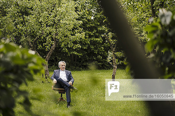 Senior businessman sitting on a chair in a rural garden
