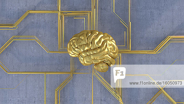 Dreidimensionale Darstellung des menschlichen Gehirns