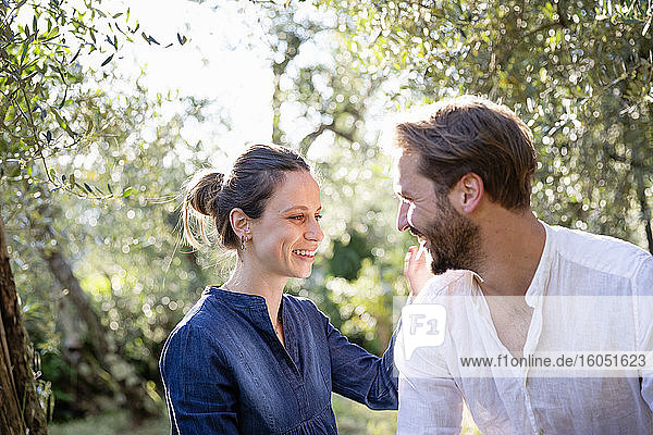 Glückliches erwachsenes Paar  das sich im Olivenhain vergnügt