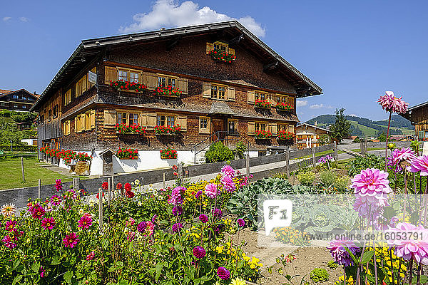 Deutschland  Bayern  Schwaben  Allgäu  Oberstaufen  Blumen im Garten und Holzhaus auf dem Land