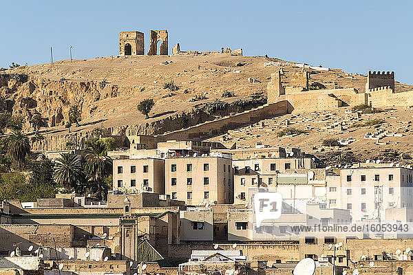 Marokko  Fes  Medina-Häuser mit Marinidengräbern im Hintergrund