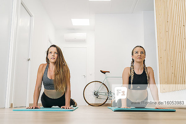 Zwei sportliche Frauen trainieren im Fitnessstudio