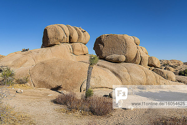 USA  California  Rock formations in Joshua Tree National Park