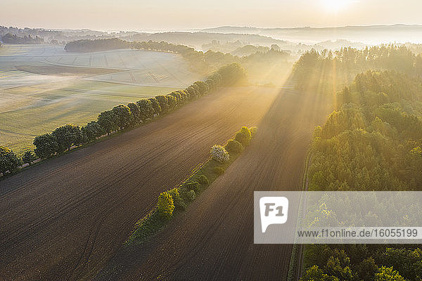 Deutschland  Bayern  Icking  Drohnenansicht eines ländlichen Feldes bei nebligem Sonnenaufgang