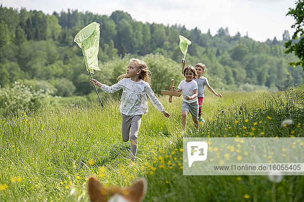 Freunde halten Schmetterlingsnetze beim Laufen auf einer Wiese im Wald