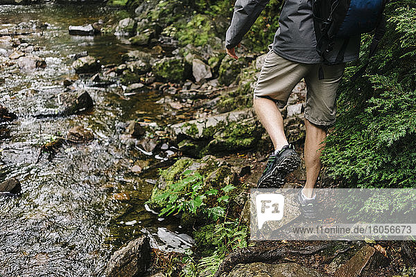 Low section of man hiking by stream in forest