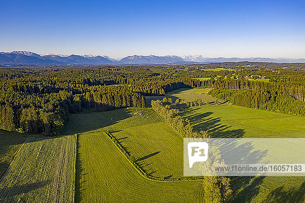 Germany  Bavaria  Geretsried  Drone view of green forested landscape of Alpine foothills