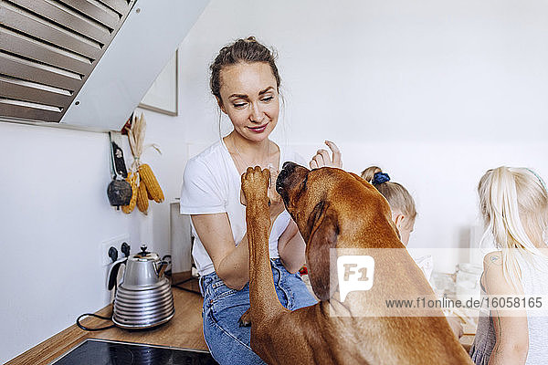 Hund  der sich auf eine Frau stürzt  die zu Hause über dem Küchentisch sitzt  von Mädchen