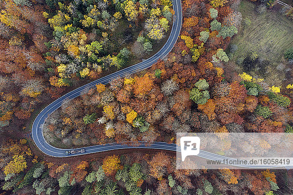 Deutschland  Bayern  Drohnenaufnahme einer kurvenreichen Landstraße durch den herbstlichen Wald im Steigerwald