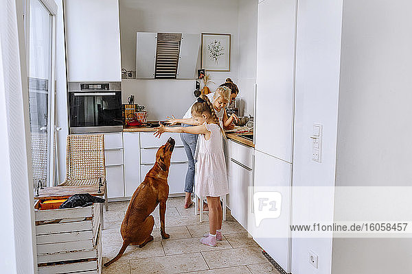 Mutter bereitet Käsekuchen zu  während die Mädchen mit dem Hund in der Küche spielen