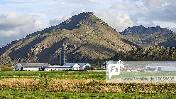 Scheunen  Silo und Bauernhaus mit spitzen Bergen im Hintergrund; Island