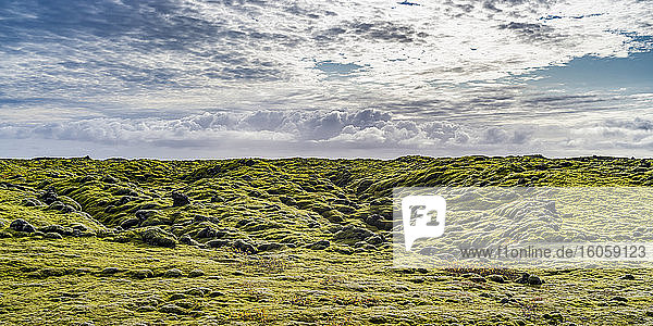 Grünes Laub in der Landschaft mit Wolken am Horizont in Südisland; Skaftarhreppur  Südliche Region  Island