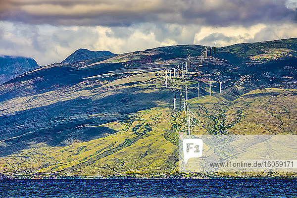 Der Windpark Kaheawa Wind Power in den West-Maui-Bergen fängt Passatwinde ein  die durch das Isthmus-Tal von Maui wehen; Maui  Hawaii  Vereinigte Staaten von Amerika