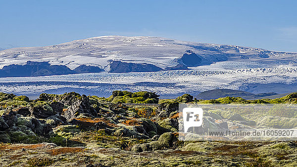 Rugged terrain with colourful tundra in the foreground and frozen snow-covered land in the background; Skaftarhreppur  Southern Region  Iceland