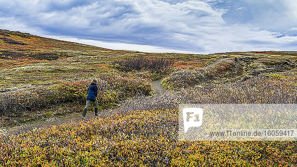 Eine Frau geht auf einem Pfad durch eine Landschaft im Nordosten Islands; Nordurping  Nordostregion  Island