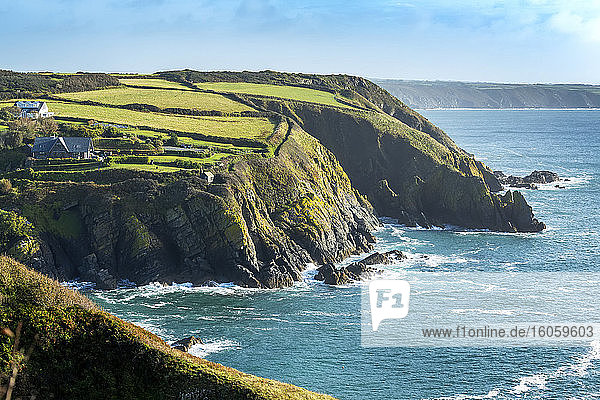 Felsenküste mit grünen Patchwork-Feldern und blauem Himmel; Grafschaft Cornwall  England