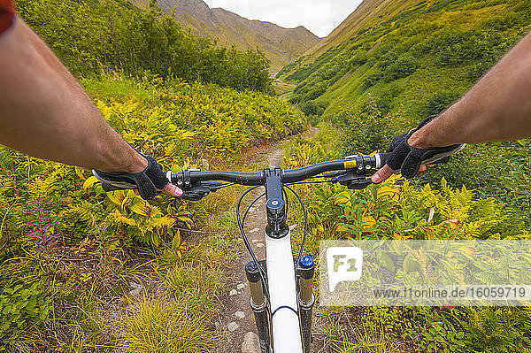 POV eines Mannes  der an einem sonnigen Sommertag in Süd-Zentral-Alaska mit seinem Mountainbike den Devil's Pass Trail hinunterfährt; Alaska  Vereinigte Staaten von Amerika