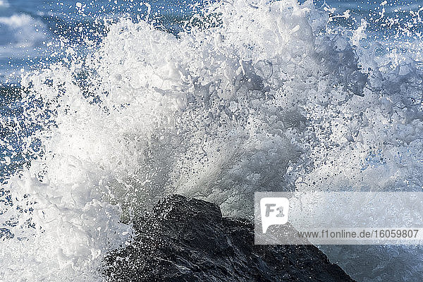 Eine Welle bricht auf einem Felsen im Ecola State Park; Cannon Beach  Oregon  Vereinigte Staaten von Amerika