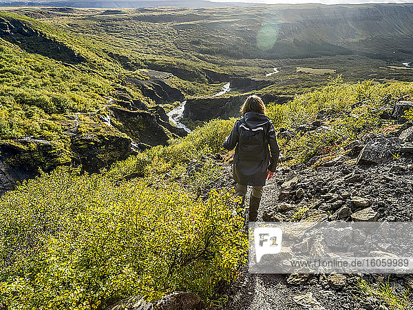 Eine Frau beim Wandern am Glymur-Wanderweg. Glymur ist der zweithöchste Wasserfall in Island mit einer Kaskade von 198 Metern; Hvalfjardarsveit  Hauptstadtregion  Island